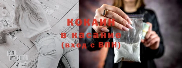 крисы Алзамай
