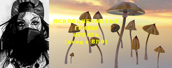 крисы Алзамай