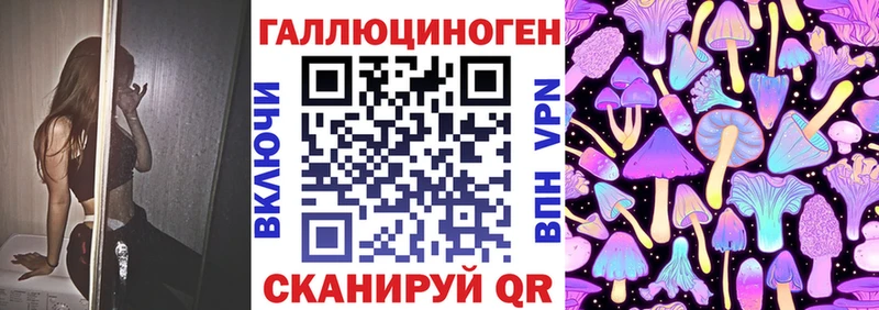 где найти   Пролетарск  Псилоцибиновые грибы MAGIC MUSHROOMS 